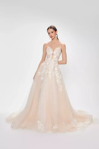 xSAVIGNA-FRONT.webp